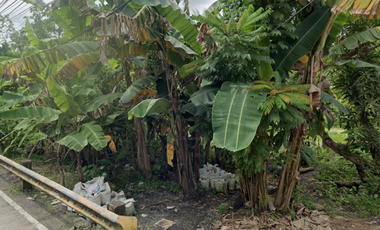 3.5 Hectares Vacant Lot for Sale in Puro Legazpi Albay