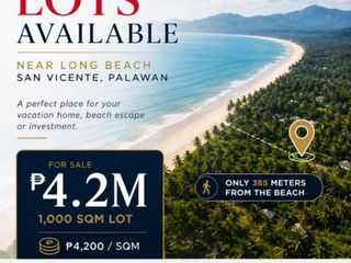 FOR SALE: Limited 1000 sqm Lots in San Vicente, Palawan