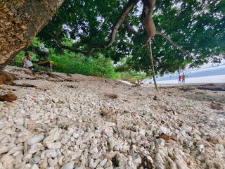 Beach Lot For Sale In Santander Cebu‼️LA: 2,300 SQ.M | 16M NET
