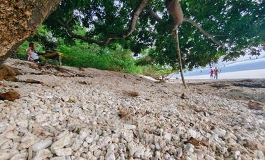 Beach Lot For Sale In Santander Cebu‼️LA: 2,300 SQ.M | 16M NET