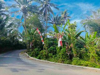 Tanah Murah Mangku Jalan Aspal SHM Pekarangan Girikerto Turi Sleman Yogyakarta