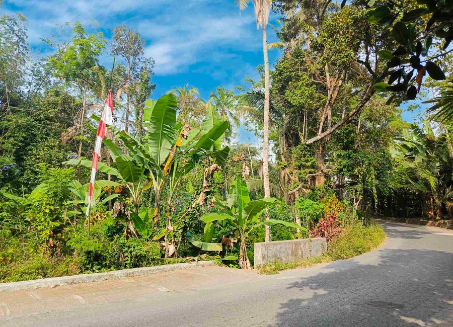 place photo 3