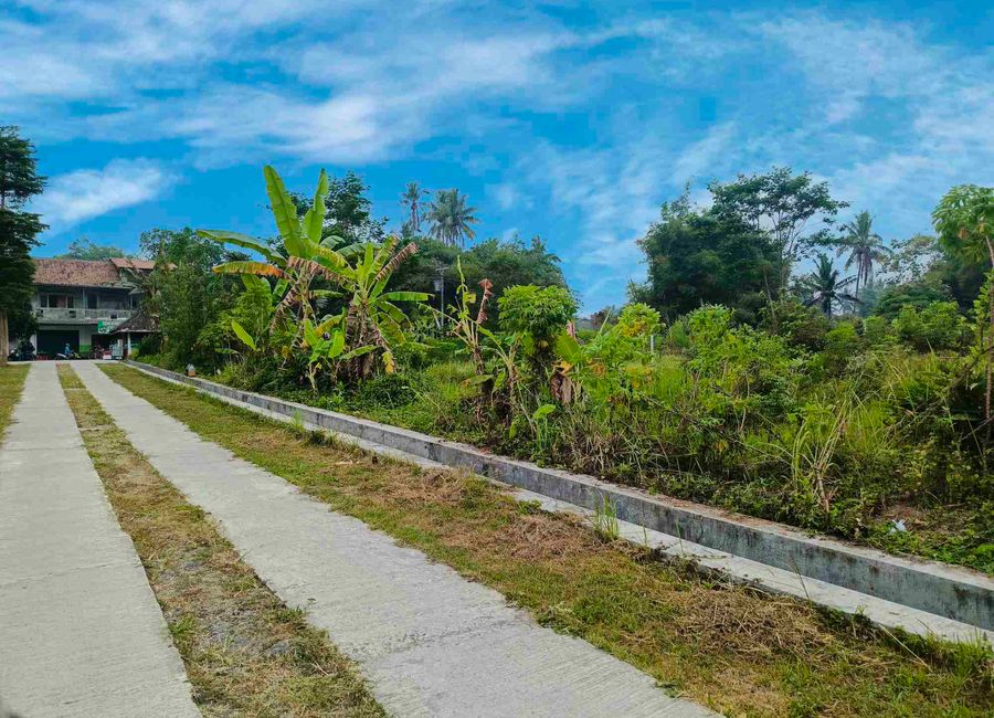 place photo 5
