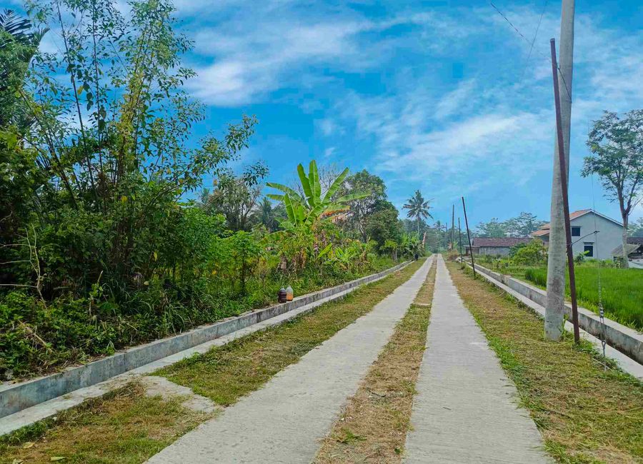 place photo 7