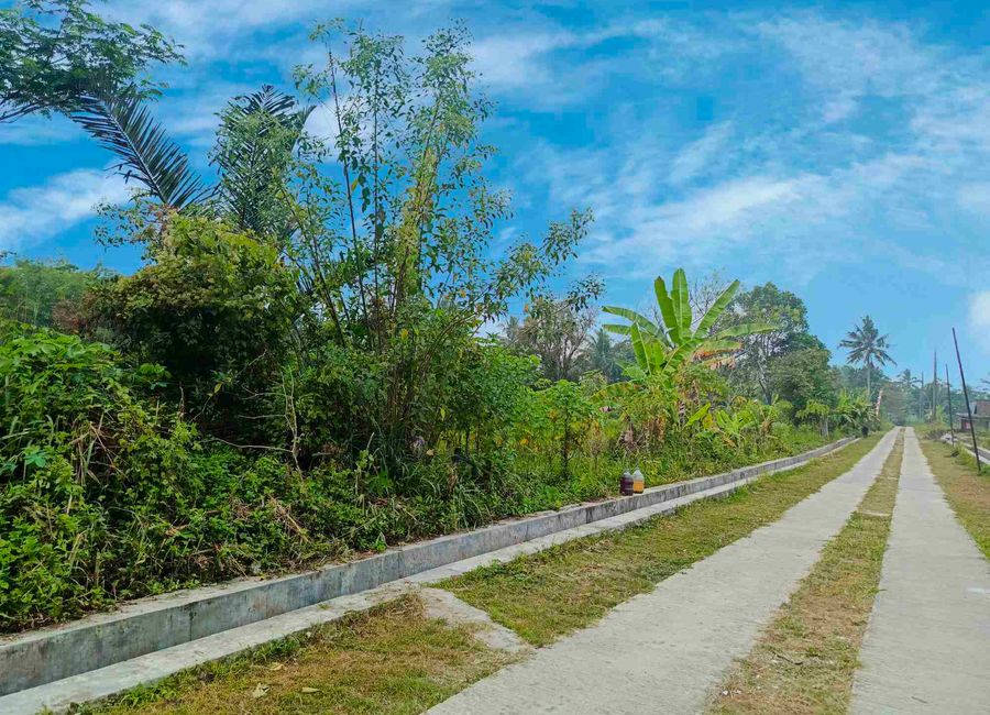 place photo 9