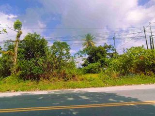 TANAH BERADA DI JALAN POROS SOEKARNO JATTA