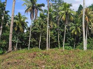 Clean title lot in Samal for sale
