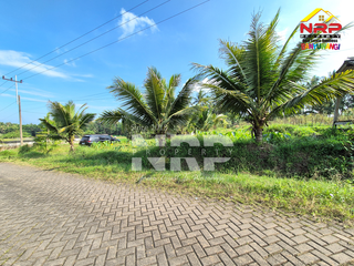 Dijual tanah Kebun Asri di Jopuro - Banyuwangi