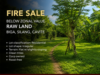FIRE SALE | Raw Land in Biga, Silang, Cavite (near Metrogate Silang)