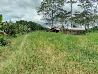 Lot for sale Dalwangan area