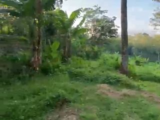 Jual Tanah siap bangun daerah Dawe. Kudus-11698