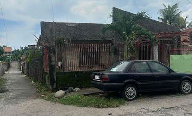 Hillside Mansilingan House