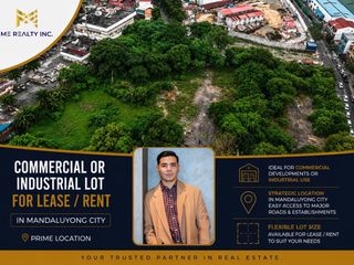 Commercial or Industrial Lot for Lease Rent in Mandaluyong City