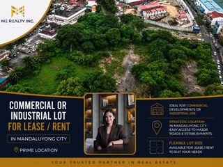 Commercial or Industrial Lot for Lease Rent in Mandaluyong City