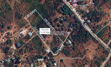 13,190 SQM Lot for Sale in Lourdes, Panglao Island, Bohol.