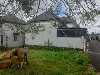 TANAH KOSONG DI SEMPIDI MENGWI DEKAT TAMAN PUSPEM BADUNG