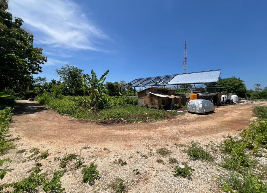 place photo 4