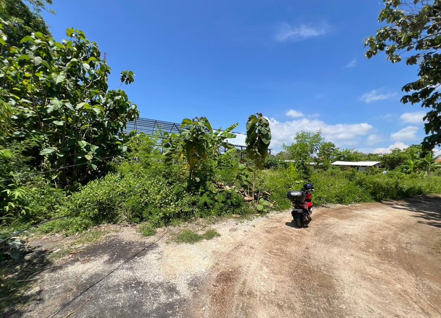 place photo 6
