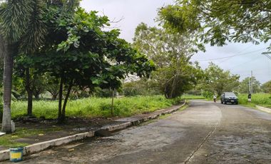 768  sqm Fariway Lot in Eagle Ridge Golf & Country Club 50% discount