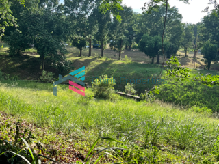 Residential Lots for Sale | Laguna Hills Subdivision, Pansol, Calamba, Laguna