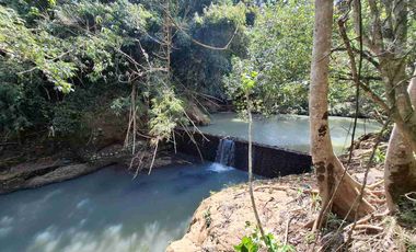Dijual tanah kebun murah dengan sungau bebatuan murah di tabanan bali