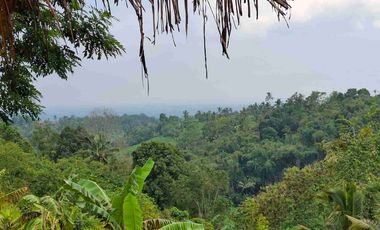 dijual tanah murah di penebel tabanan bali