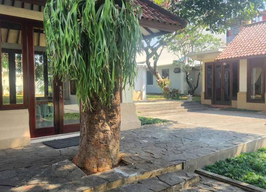 place photo 8