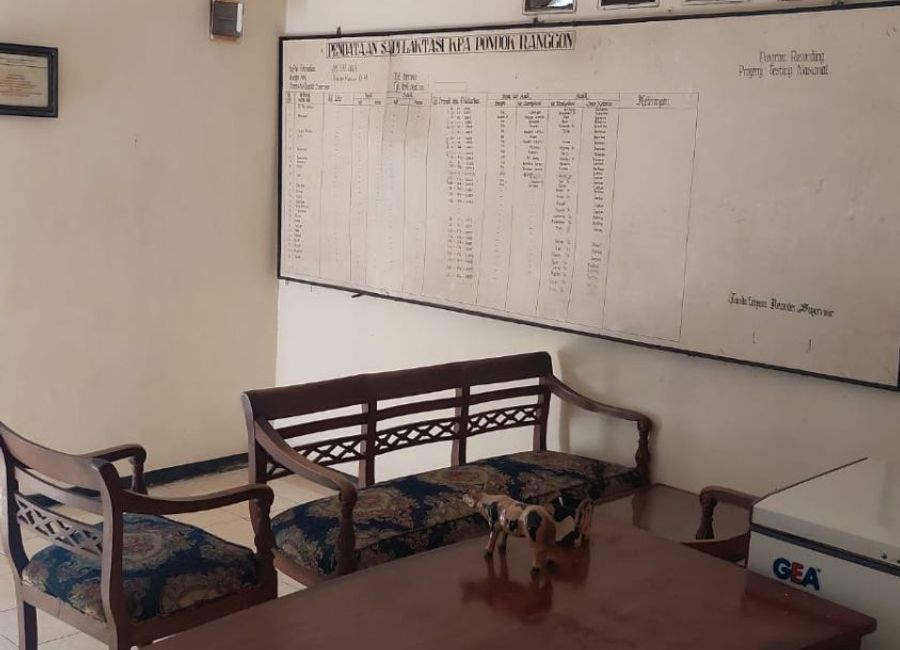 place photo 12