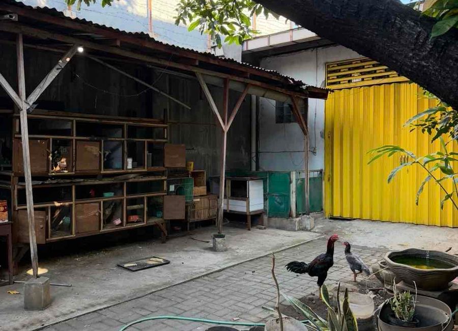 place photo 15
