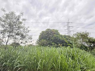 Vineyard Residences Lot For Sale
