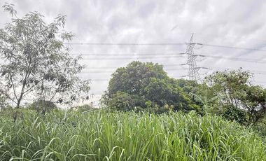 Vineyard Residences Lot For Sale