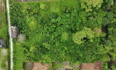 DIJUAL TANAH DI BUWIT TABANAN
