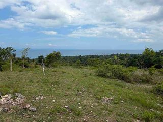 Overlooking Seaview Cleaned Titled Lot For Sale in Bulasa Argao