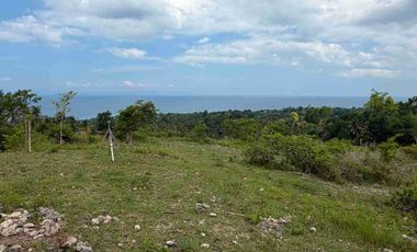 Overlooking Seaview Cleaned Titled Lot For Sale in Bulasa Argao