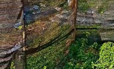 DIJUAL TANAH MURAH 400 M² DI BATURITI – LOKASI STRATEGIS DEKAT DESTINASI WISATA BEDUGUL