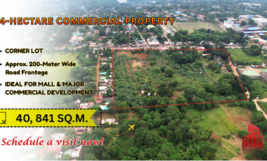 4-Hectare Commercial Property in Puerto Princesa City, Palawan