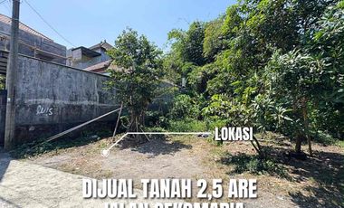 Dijual Tanah 2,5 Are Di Jalan Cekomaria Denpasar Utara