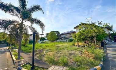 333 sqm Prime Lot for Sale in Muntinlupa City at Palms Pointe Village