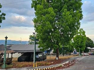 FOR SALE: 359 SQM PREMIUM CORNER LOT | TIVOLI ROYALE SUBDIVISION, QUEZON CITY