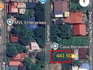 441 SQM Lot in Marikina Heights
