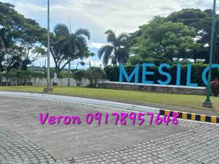 Mesilo lot only