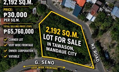 2,192sq.m LOT FOR SALE IN TAWASON , MANDAUE CITY