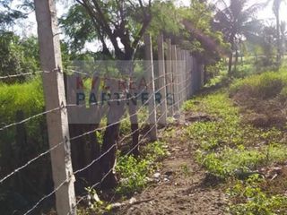 FOR SALE! RARE FARM LOT NEAR THE BEACH at NASUGBU, BATANGAS