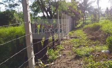 FOR SALE! RARE FARM LOT NEAR THE BEACH at NASUGBU, BATANGAS