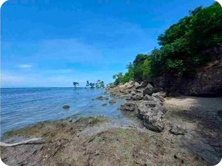 TITLED BEACH FRONT LOT | 1369sqm in DUMANJUG CEBU