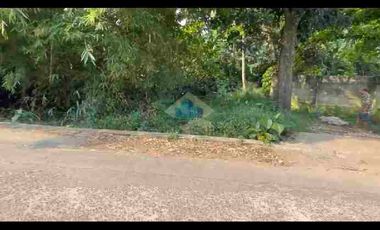 Jual Tanah di Pedurenan, Gunung Sindur, Bogor - Jawa Barat.