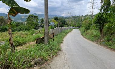 40-Hectare Logistics & Industrial Park | Naga City, Cebu For SALE OR FOR LEASE, BUILT-TO SUIT WAREHOUSE PROJECT OR JOINT VENTURE