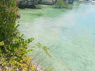 5000sqm BEACHFRONT LOT IN MOALBOAL CEBU. BEST FOR RESORT/COMMERCIAL/HOTEL