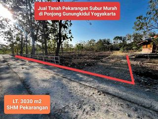 Jual tanah strategis pekarangan murah subur di Ponjong Gunungkidul Yogyakarta