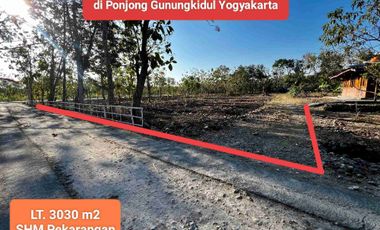 Jual tanah strategis pekarangan murah subur di Ponjong Gunungkidul Yogyakarta